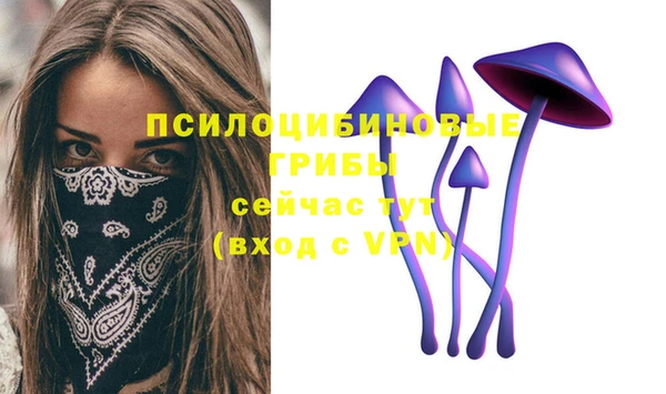 мет Алзамай