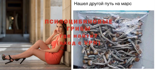 мет Алзамай