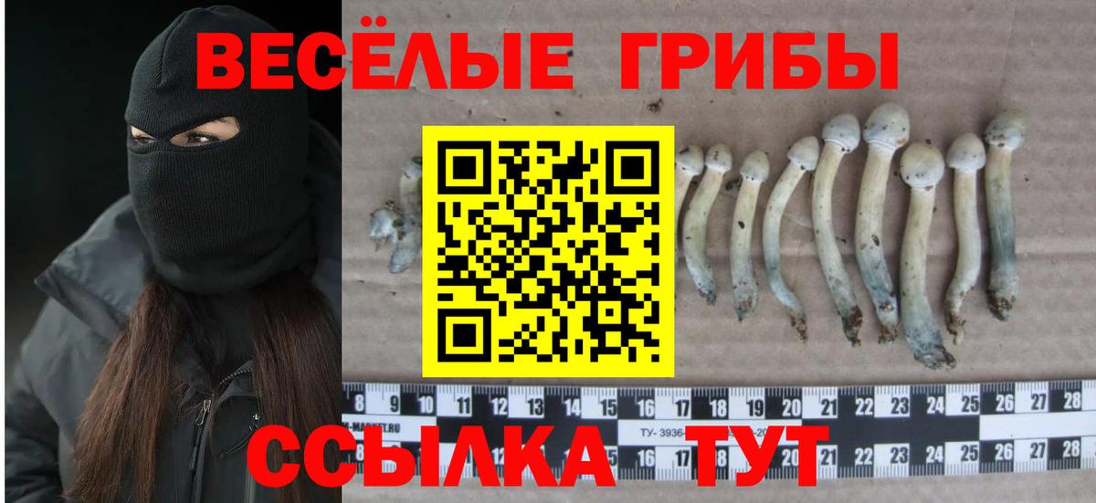 Галлюциногенные грибы GOLDEN TEACHER Геленджик